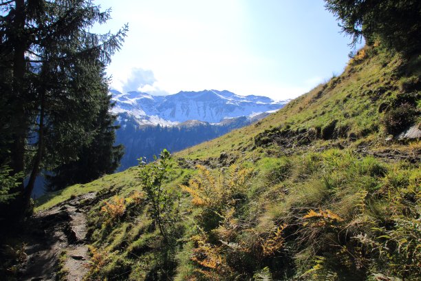 阿尔卑斯山附近的萨尔巴赫腹地在奥地利图片下载