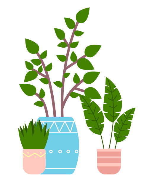 装饰镶嵌绿色植物，长叶图片下载