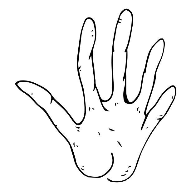 人的手腕用手掌张开五指图片下载