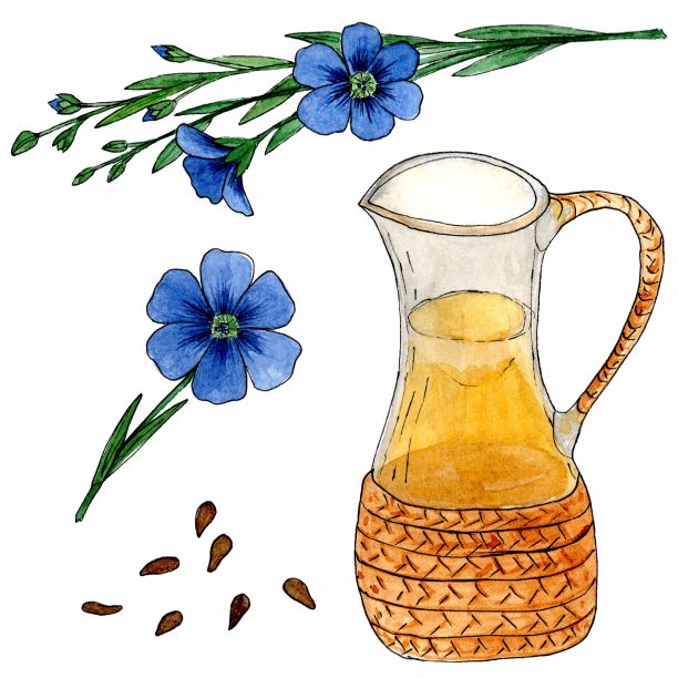 亚麻籽油，亚麻花和种子。图片下载