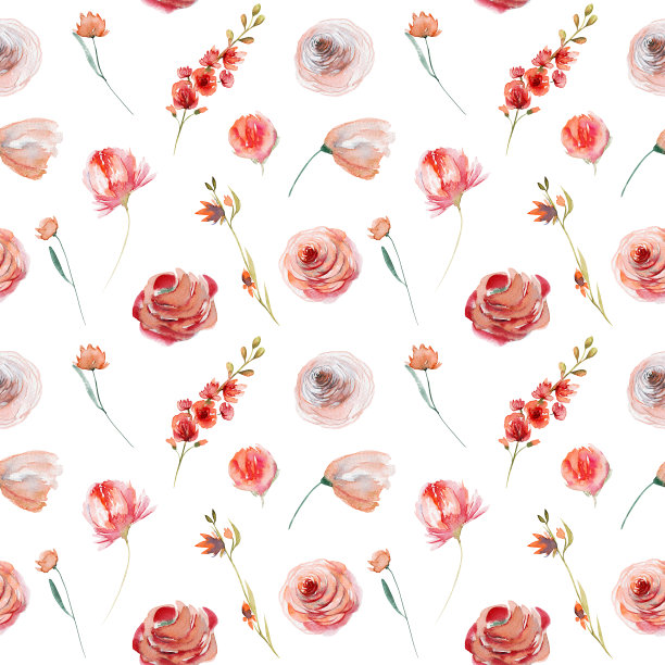 水彩花无缝模式的红色和白色玫瑰和野花，插图上的白色背景图片下载