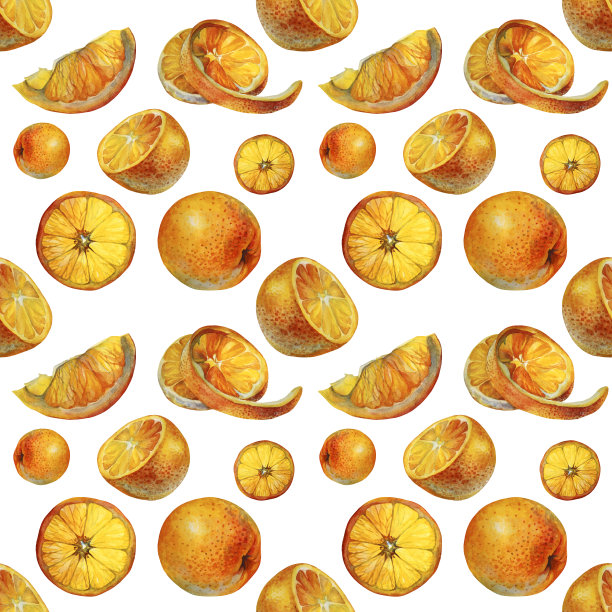 无缝模式水彩柑桔水果橙子片在白色的背景。手绘夏季食物对象菜单，贴纸，包装，卡片，墙纸图片下载