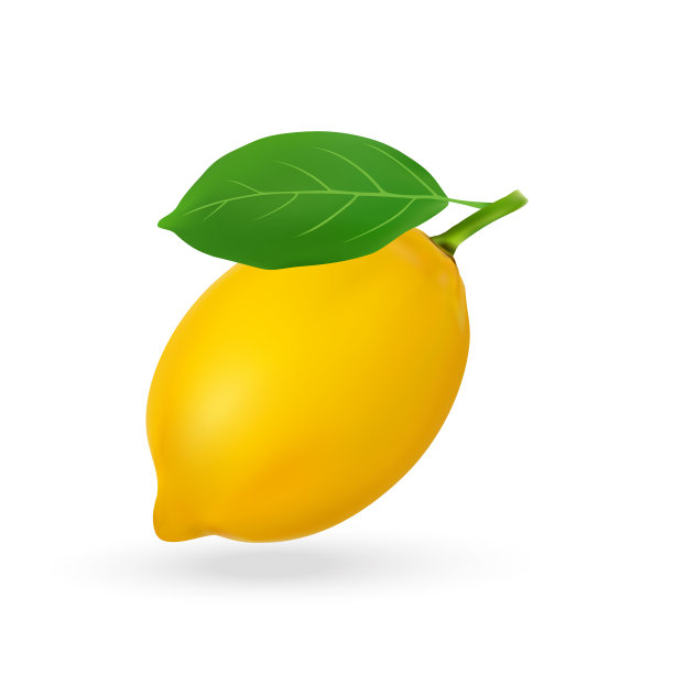 矢量图的新鲜柠檬孤立在白色的背景。图片下载