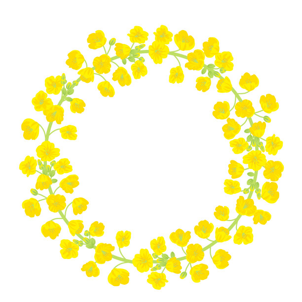 油菜花花环图片下载