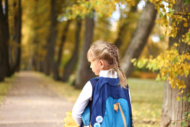 一个梳着马尾辫的小女孩，背着大大的蓝色背包，走在秋树公园的小路上，手里拿着黄色的枫叶。小学九月的第一天图片下载