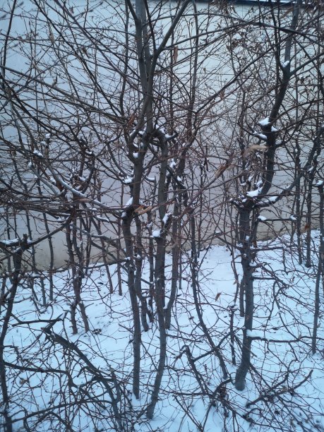 雪的抽象背景图片下载