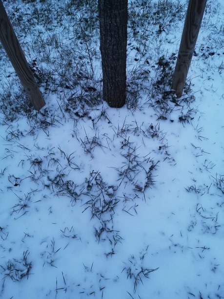 雪的抽象背景图片下载