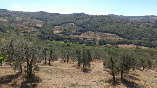 意大利乡村的照片图片下载