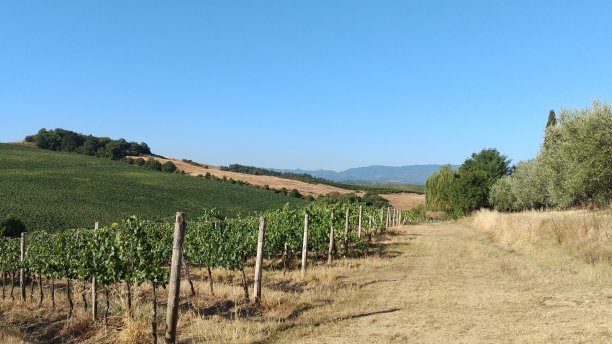 意大利乡村的照片图片下载