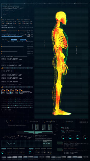 垂直显示生物医学诊断HUD图片下载