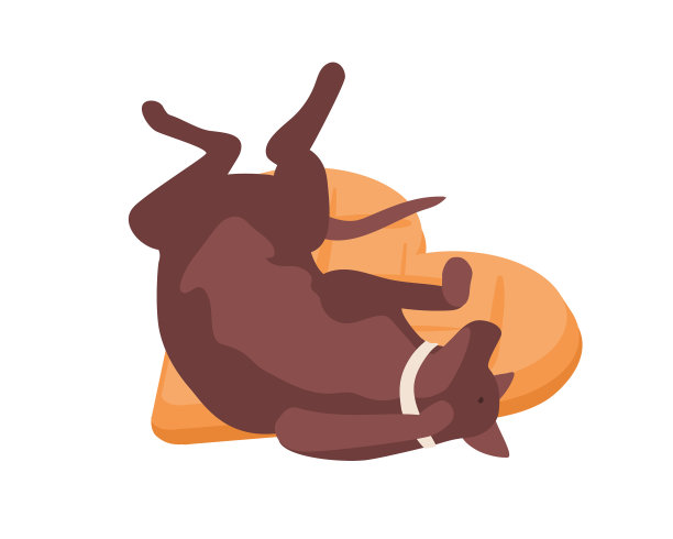 有趣的狗在项圈放松躺在舒适图片下载