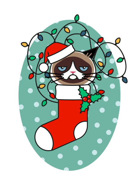 在圣诞袜里戴着圣诞帽的不爽猫图片下载