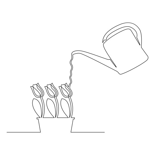 浇水郁金香，连行。图片下载