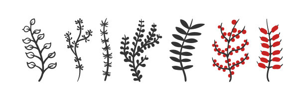 涂鸦的圣诞花图片下载