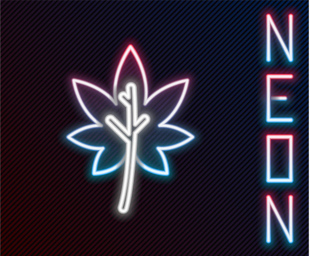 发光的霓虹灯线叶子图标孤立在黑色图片下载