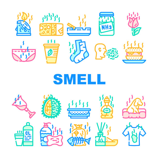 嗅觉感觉和感觉集合图标设置向量图片下载