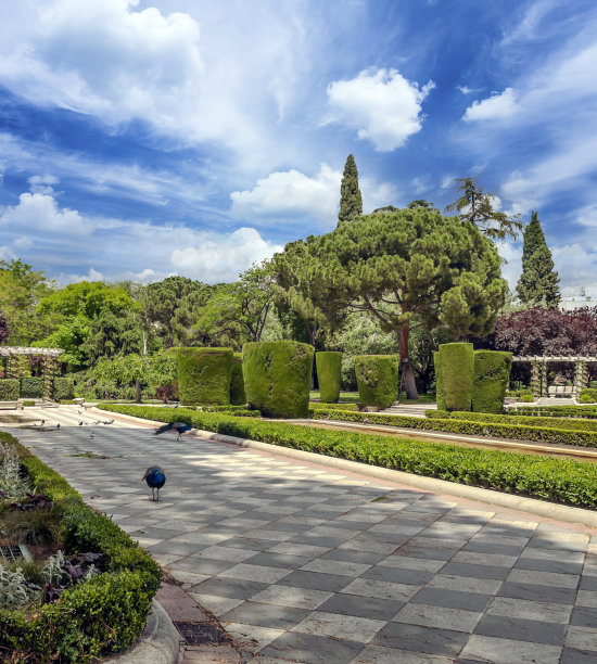 正式的花园图片下载