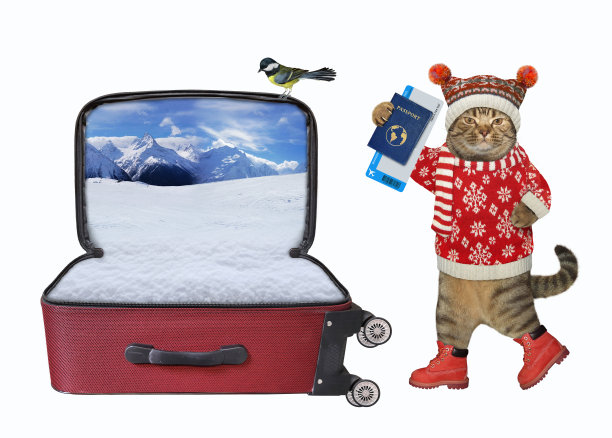 猫要去滑雪胜地图片下载