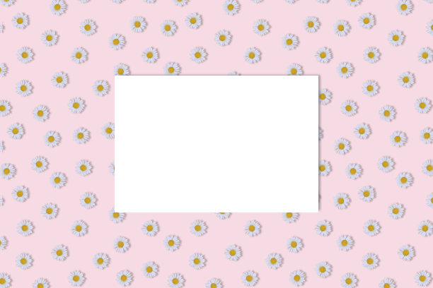 白色卡片模型与黛西图案在粉红色的背景。俯视图，复制空间。图片下载