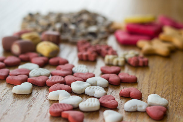 狗狗美味的彩色饼干，狗狗的零食图片下载