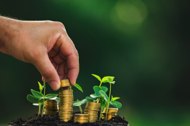 币苗经营理念图片下载