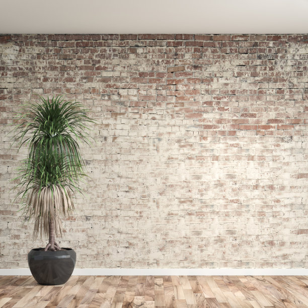 空废墙背景与盆栽植物图片下载