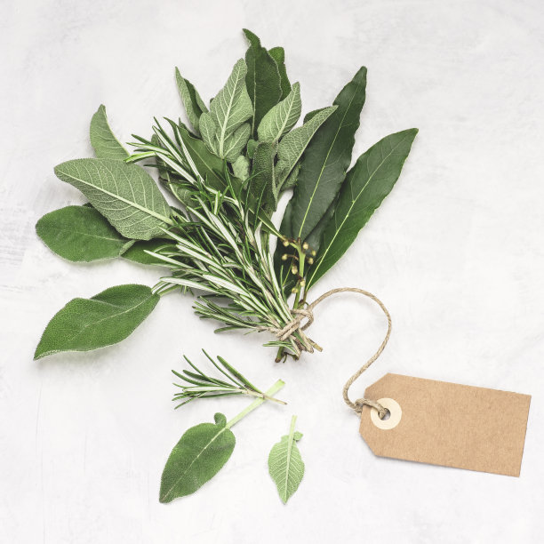 各种新鲜香草与纸标签上的字母在白色纹理的背景。迷迭香，鼠尾草，月桂叶，方形图片下载