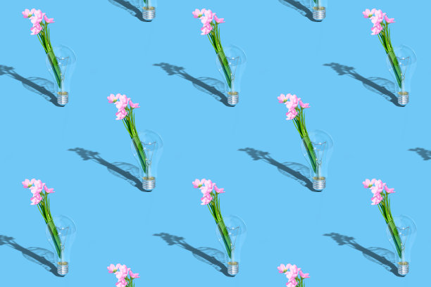 ． 花、植物和岩石玻璃灯泡创意装饰在粉彩蓝色背景与复制空间。室内玻璃容器。最小的横幅模板为网络，社交媒体，广告。股票的照片。图片下载