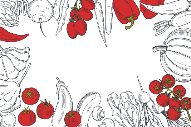 向量背景与蔬菜。图片下载