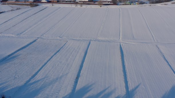 严重的领域。雪的冬季景观图片下载