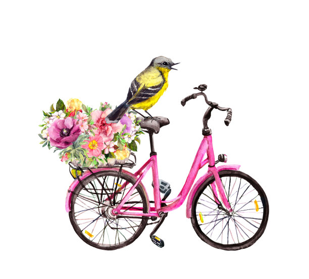 粉红色自行车上的鸟和篮子里的花。水彩图片下载