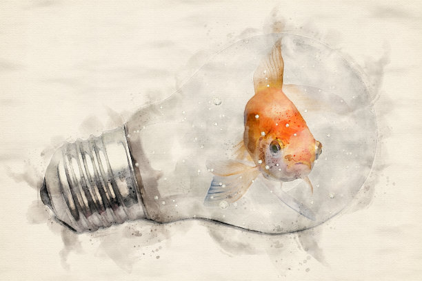 《灯泡里金鱼的水彩画》图片下载
