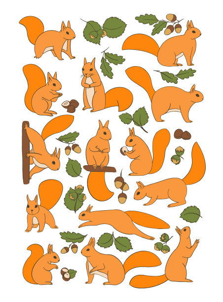 一组可爱的卡通松鼠与橡子和榛子坐，站和跳图片下载