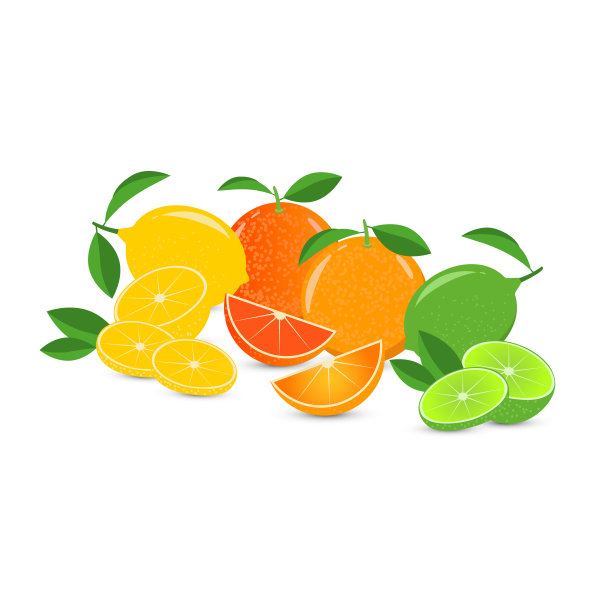 在白色背景上分离的柑橘类水果的载体静物。柠檬，橘子，葡萄柚，酸橙。用绿叶装饰的整块、半块和四分之一。用于各种设计目的图片下载