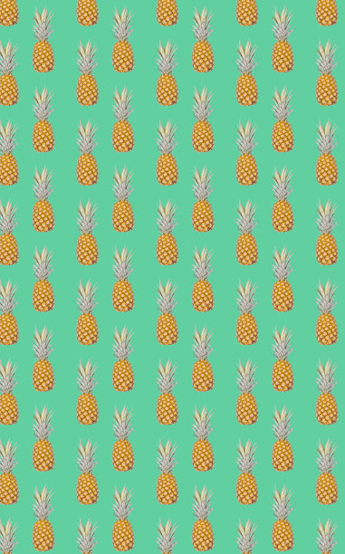 菠萝图案对象在绿色背景上图片下载