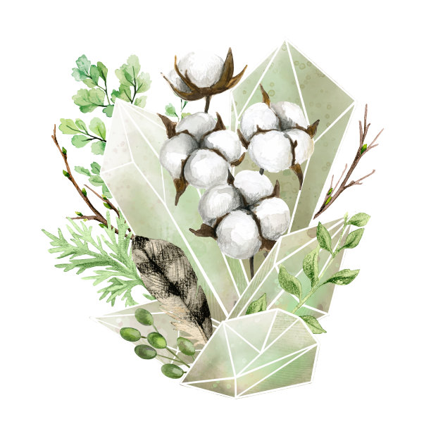 植物元素水晶宝石，全彩色装饰艺术图片下载