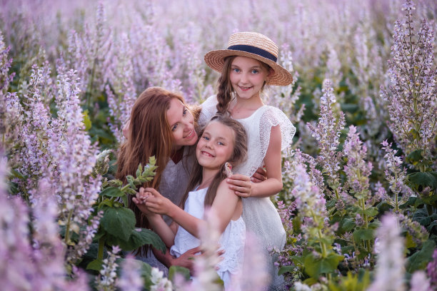 年轻的母亲抱着两个女儿在紫色盛开的鼠尾草田。女孩们在一起拥抱，欢笑，玩得开心。身穿白衣，头戴草帽。带着孩子旅行，关爱母亲。特写肖像图片下载