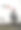 一个爱运动的女孩在玩篮球。图片下载