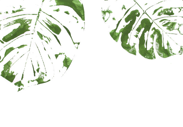 水彩画棕榈叶将棕榈叶上的水涂上颜色，然后放在纸上图片下载