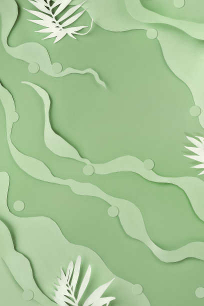 单色绿色抽象纸背景与自然有机线条的米色纸层。异国情调的棕榈叶剪影。为你的文本留出空间，自然颜色图片下载