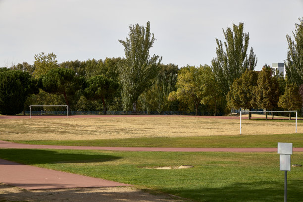 萨拉曼卡市公园的足球场(西班牙)图片下载