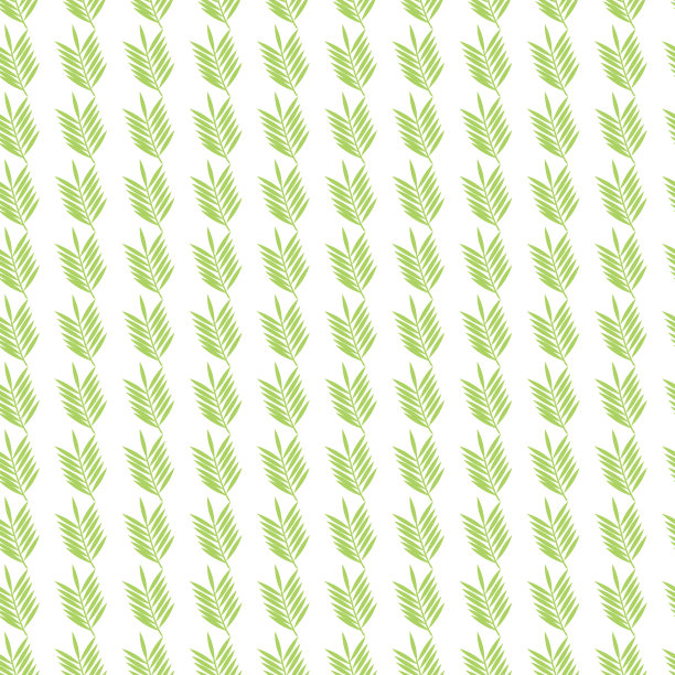 棕榈分支模式。美丽的礼品包装。丛林图片下载