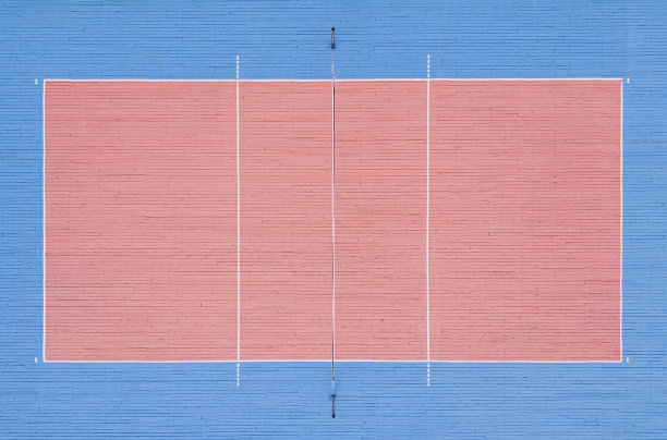 排球场俯视图。健身房的粉色和蓝色木地板。图片下载