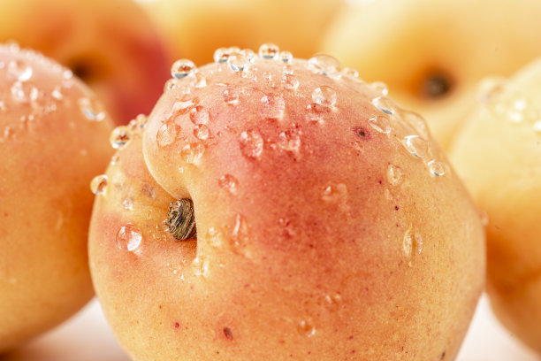 湿杏子图片下载