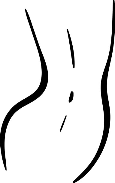 女人线标志苗条的腹部图片下载