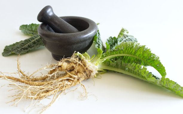 含根续断植物，大理石研钵，杵。在民间医学中，它们的根茎被用来制作用于治疗风湿病和肺结核的药酊。图片下载