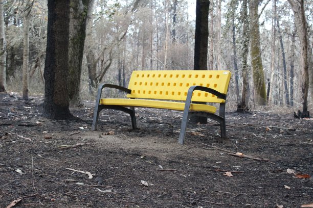 孤独的长凳在森林大火后完好无损图片下载