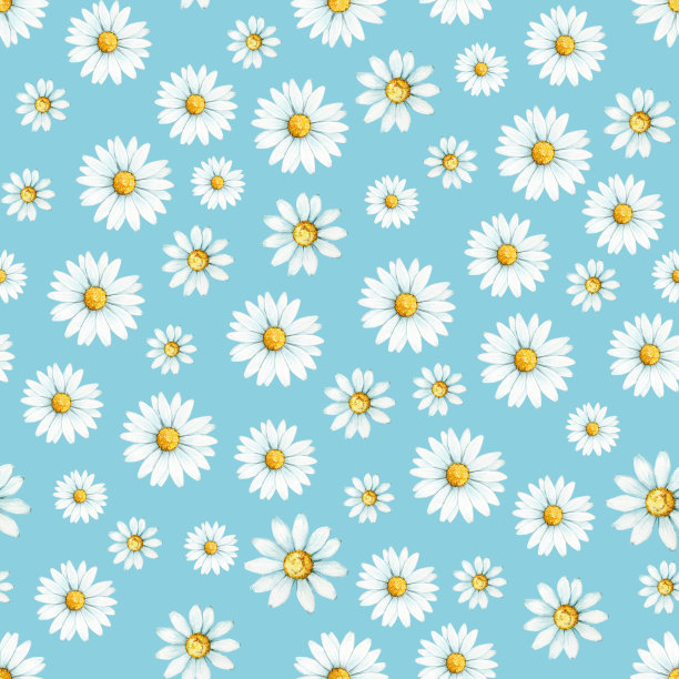 洋甘菊，一种用水彩手绘的花。无缝模式上的蓝色背景。图片下载