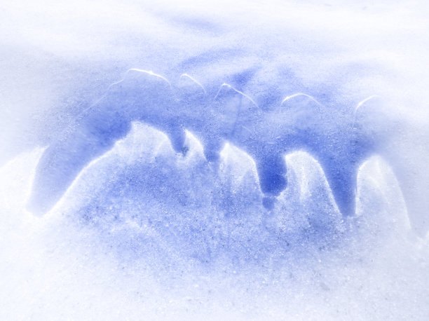 在冰雪覆盖的池塘中起伏的冰的形状图片下载