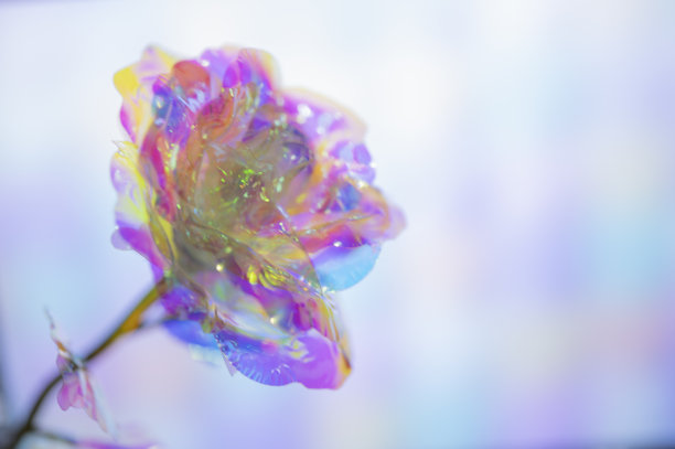 人工玫瑰模糊图像7种颜色的软颜色在各种梯度的背景图片下载